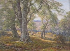 Spring In The New Forest by Frederik Golden Short