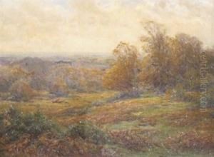 New Forest Landscape
