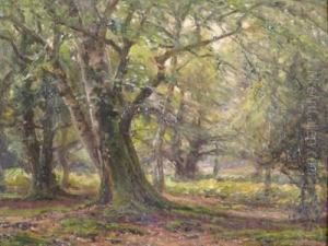 Midsummer In The Woods by Frederik Golden Short