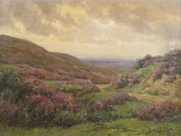 New Forest Heather - view 1