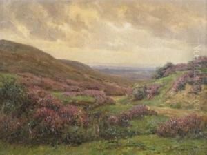 New Forest Heather by Frederik Golden Short