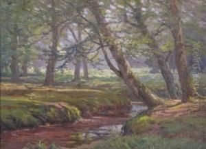 A New Forest Stream by Frederik Golden Short