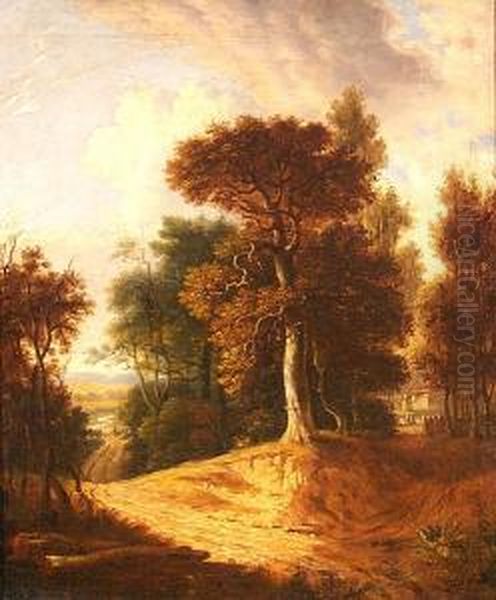 A Woodland Path - view 1