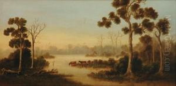 Cows And Mistymorning - view 1
