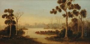 Cows And Mistymorning