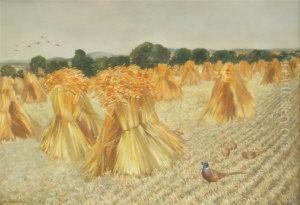 Cock And Hen Pheasants Among Stooks Of Corn At Cleeve Prior