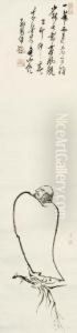 Daruma On A Reed by Mokuan Shoto