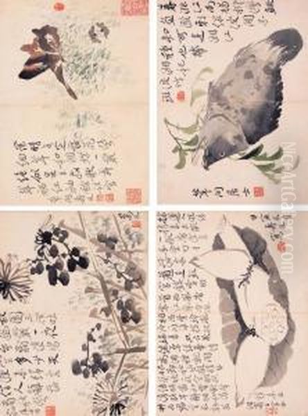 Flowers, Birds And Insects - view 1