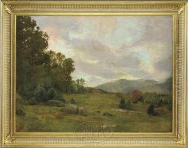 Mountain Pasture - view 1