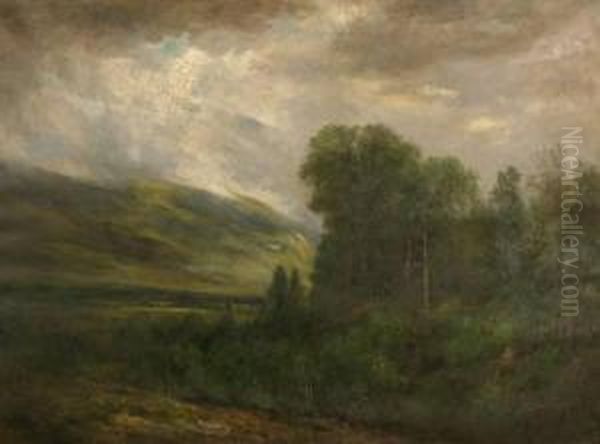 Summerlandscape - view 1