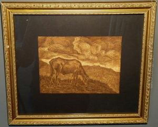 A Cow In A Field - view 1