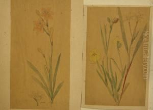 Lot De 39 Oeuvres Sur Papier by Eugene Sieffert