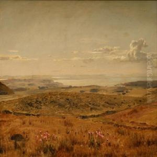 "landskab" - view 1