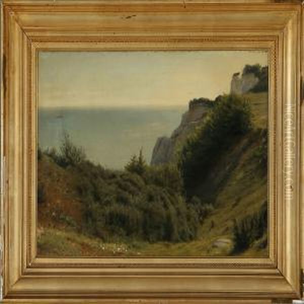 Summer Day At The Cliffs Of Stevns - view 1