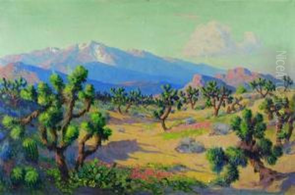 Cactus - view 1