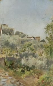Scorcio Di Settignano