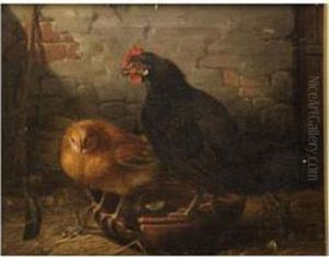 Gallinas by Joaquin Siguenza