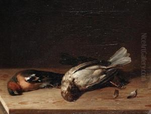 Still Lifes Of Fallen Birds by Joaquin Siguenza