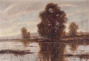 Morgenstimmung Inder Lobau by Rolf Sigurd