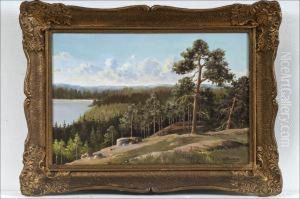 Nakyma Jarvelle - Vy Mot Sjon