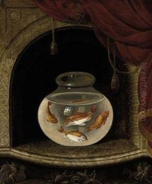 Goldfish - view 1