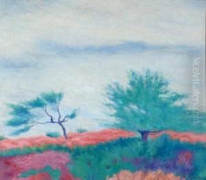 "paisaje Fantastico (cordoba)". by Ramon Silva