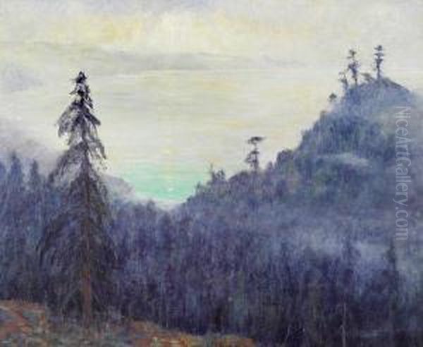 Morning Fog, Big Sur, California - view 1
