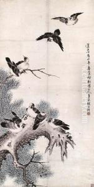 Birds - view 1