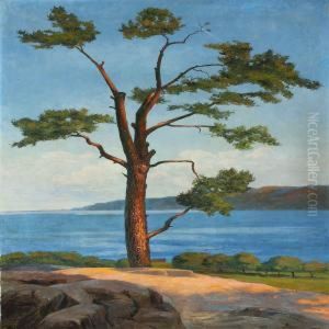 Coastel Sceneri With Tree