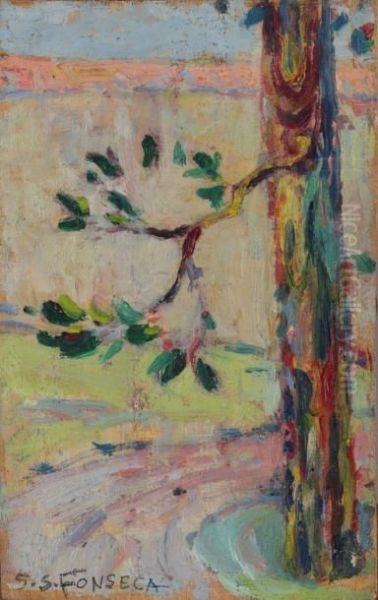 Branche D'arbre - view 1