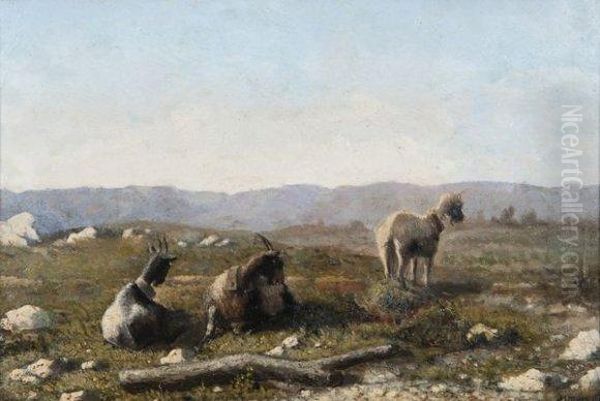 Chevres Dans Un Paysage - view 1