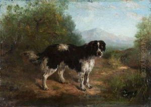 Epagneul Breton by Francois Simon