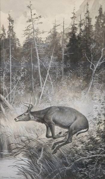 Deer At Dingman's Ferry, Pike County, Pa - view 1