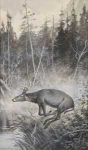 Deer At Dingman's Ferry, Pike County, Pa by Hermann Gustave Simon