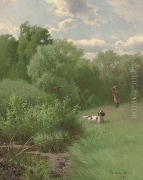 Woodcock Shooting - view 1