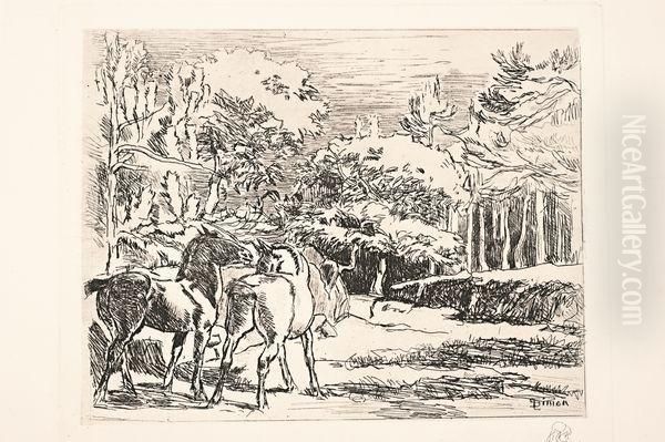 Chevaux A La Campagne - view 1
