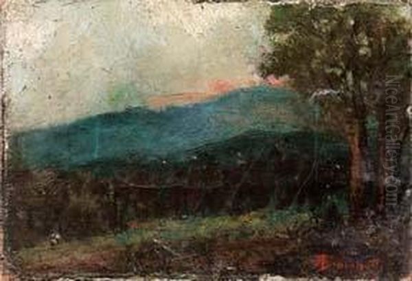 Paesaggio - view 1