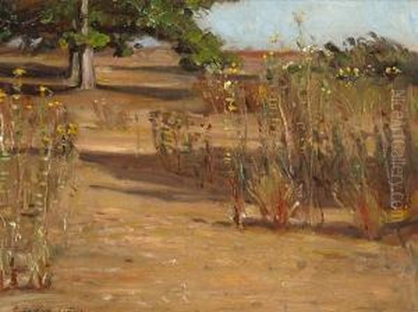 A Path Through The Wildflowers - view 1