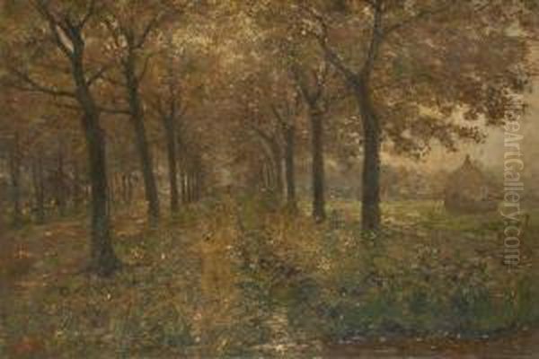 Rayons De Soleil Sur La Meule - view 1