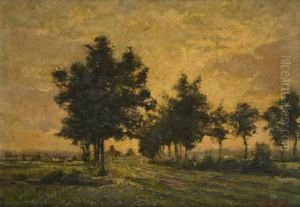 Coucher De Soleil Dansl'allee by Jan Frans Simons