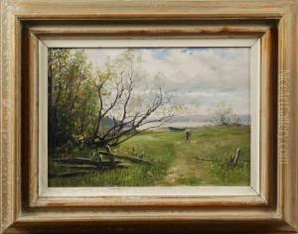 Insjolandskap Med Eka - view 1