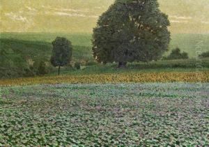 Blick Vom Kahlenberg by Stefan Simony