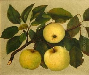 Apples From Rock Hill Farm by Beda Simpson