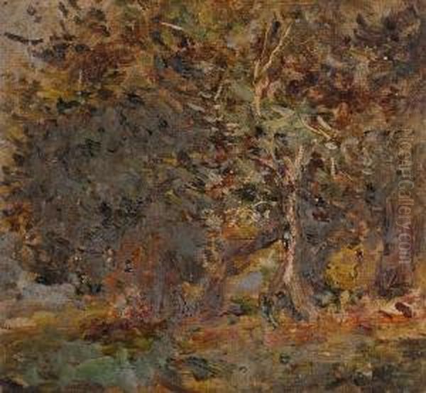 Landscape. - view 1