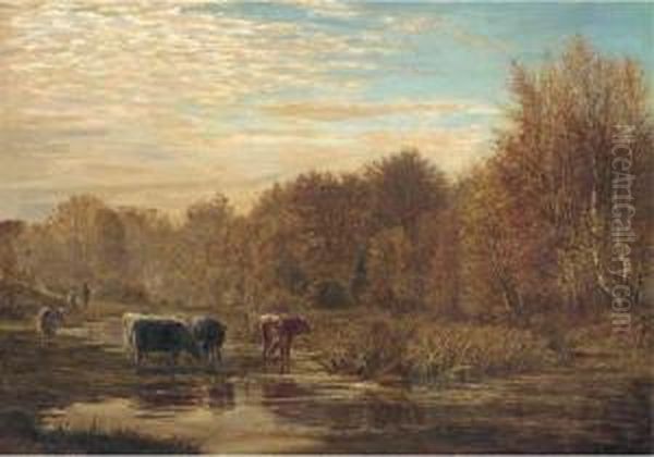 Cattle Watering At Sunset - view 1