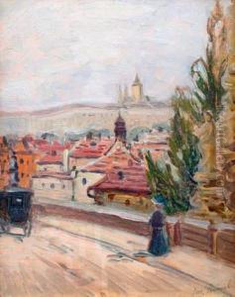 Z Karlova Mostu - view 1