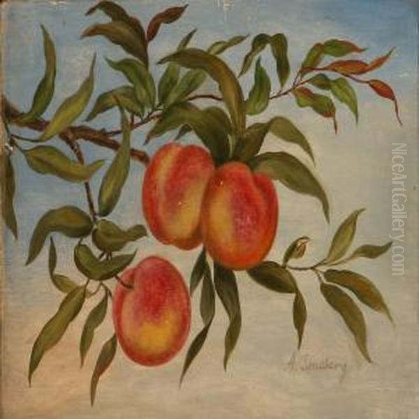 A Twig With Mature Apples - view 1