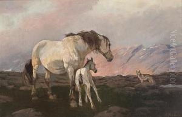 Mare With Foal And A Wolf In The Mountains - view 1