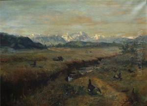 Voralpenlandschaft Mit Auerhahnen
