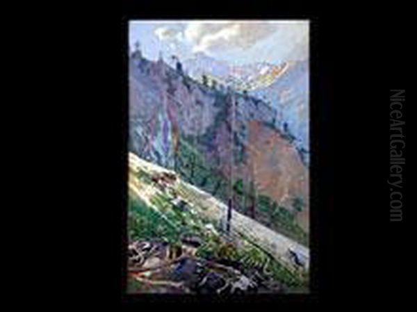 Gerollhang Im Hochgebirge - view 1